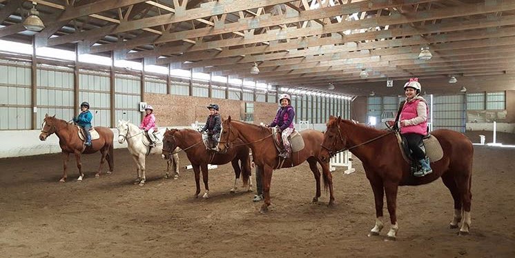 New Horizon Stables | 586 Pearse Rd, Schenectady, NY 12309, USA | Phone: (518) 698-3391