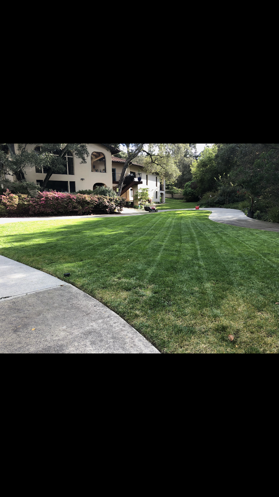 Redwood maintenance services | 1083 Eighth Ave, Redwood City, CA 94063, USA | Phone: (650) 441-0413