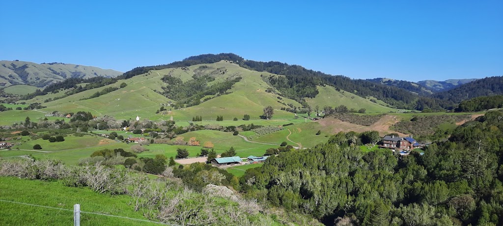 Devils Gulch Ranch | 200 Road to Ranch Visits by appointment, Nicasio, CA 94946, USA | Phone: (415) 662-1099