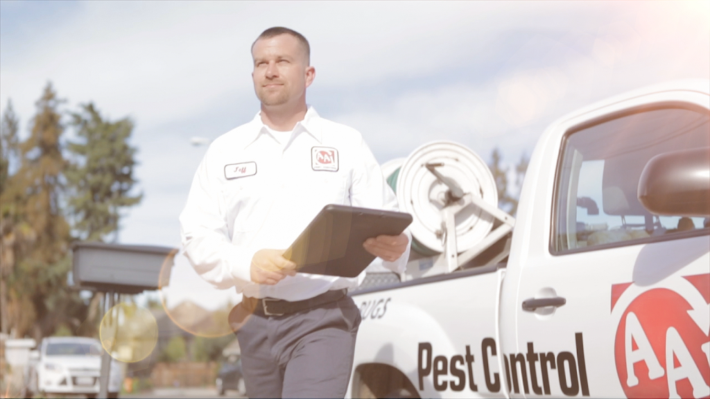 AAI Pest Control | 4120 Dale Rd ste j8-106, Modesto, CA 95356 | Phone: (209) 545-0789