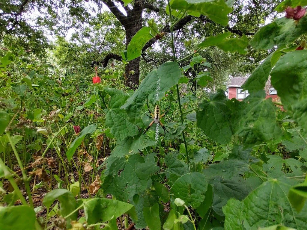 Stone Park | 810 N Edgefield Ave, Dallas, TX 75208, USA | Phone: (214) 670-4100