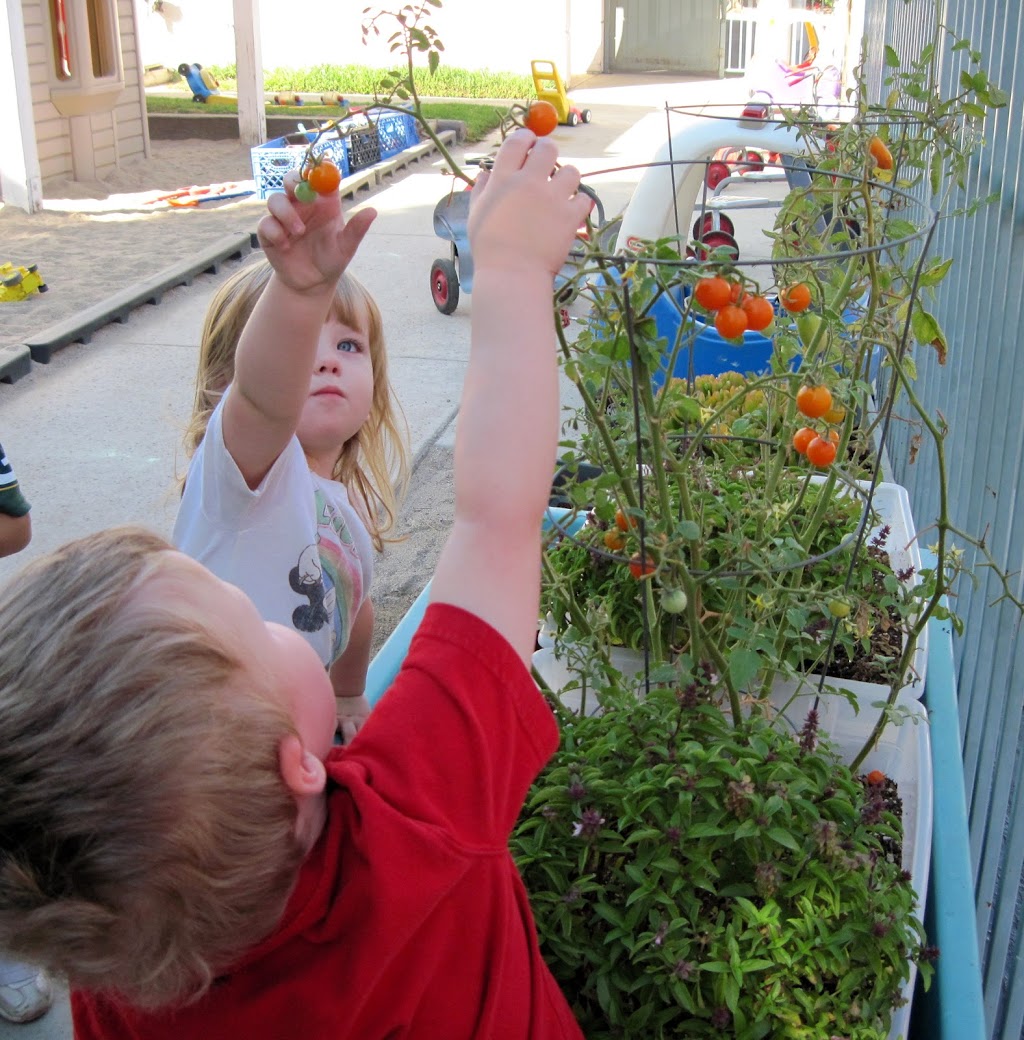 Tree of Life Childrens Center at Temple Beth Israel | 3033 N Towne Ave, Pomona, CA 91767, USA | Phone: (909) 626-6937