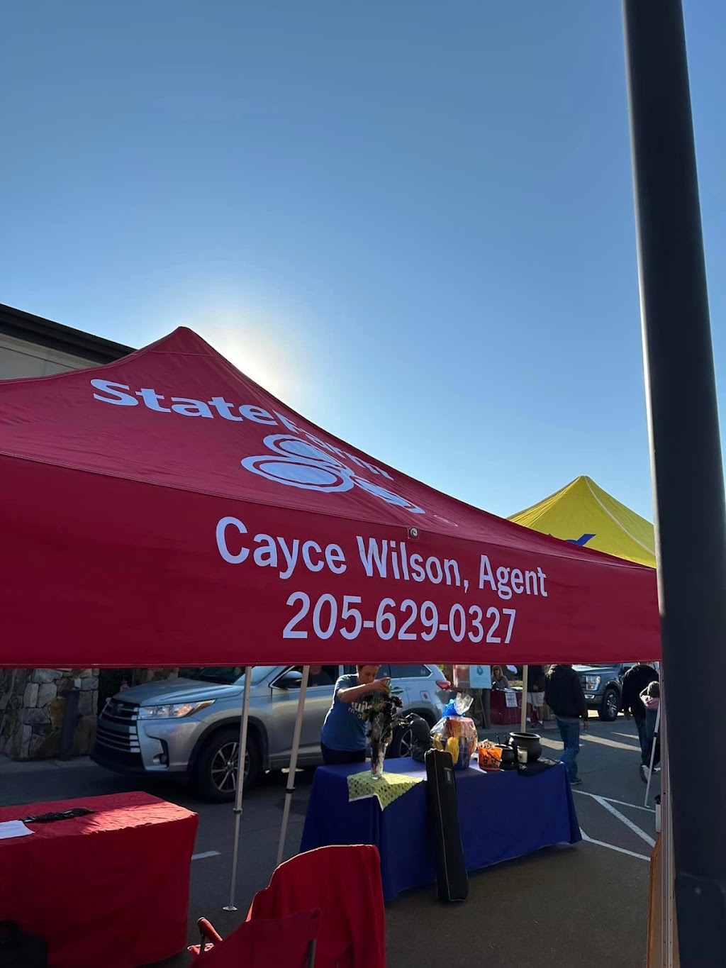 Cayce Wilson - State Farm Insurance Agent | 13260 US-411 Ste 400, Odenville, AL 35120, USA | Phone: (205) 629-0327