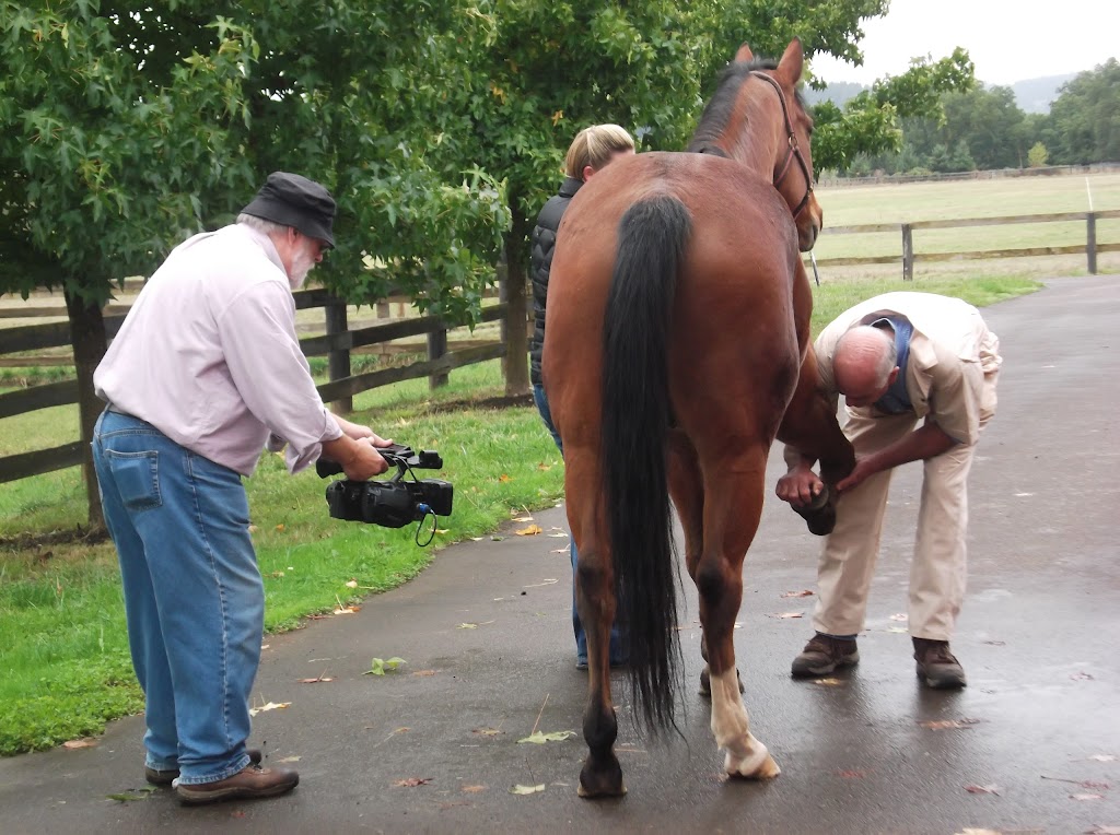 Oakhurst Equine Veterinary Services | 18715 NE, OR-240, Newberg, OR 97132, USA | Phone: (503) 554-0227