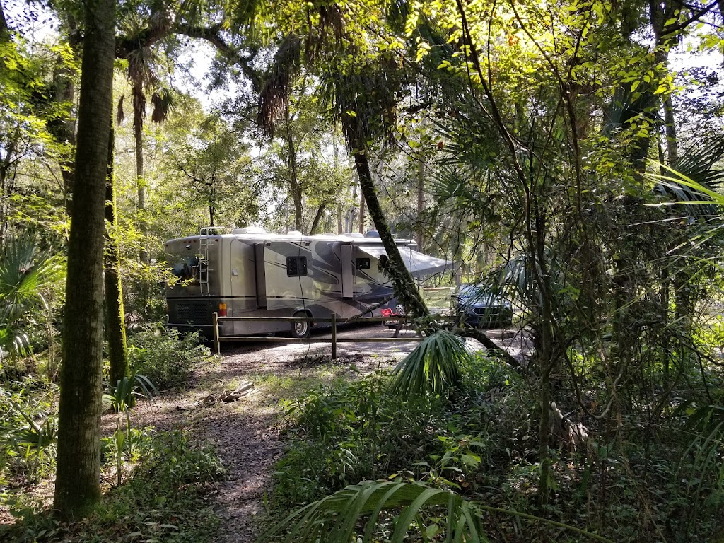 Hillsborough River State Park Campground | Thonotosassa, FL 33592, USA | Phone: (813) 987-6771