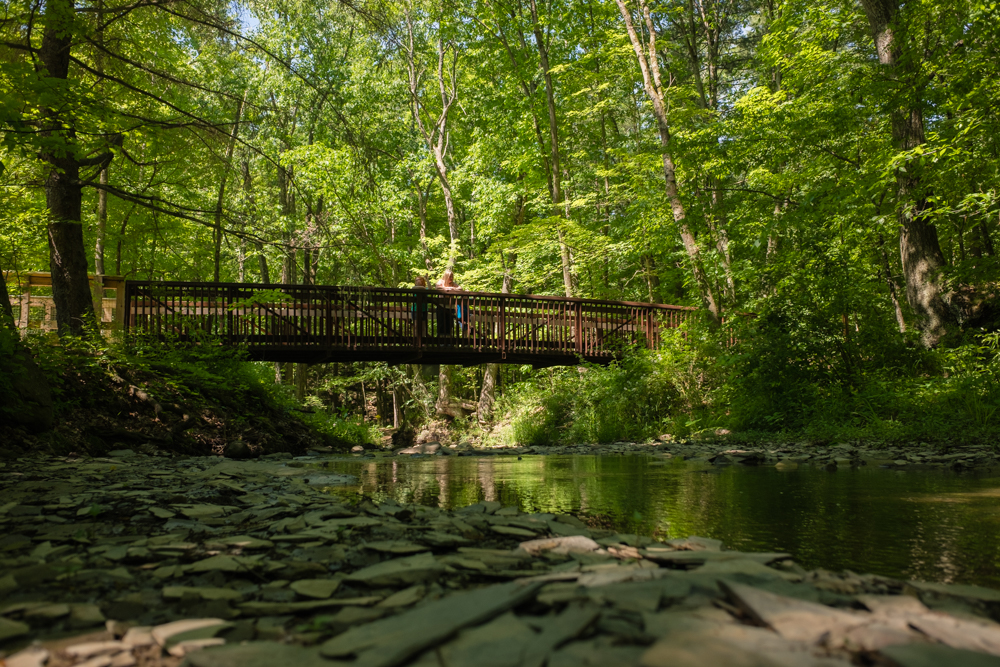 Shale Hollow Park | 6320 Artesian Run, Delaware, OH 43015, USA | Phone: (740) 524-8600