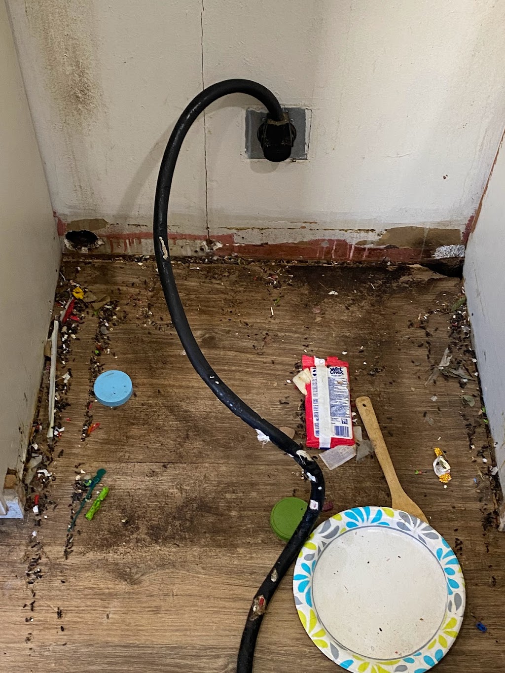 Allnone Pest Eliminators | 917 Sunset Dr, Antioch, CA 94509, USA | Phone: (800) 430-3778