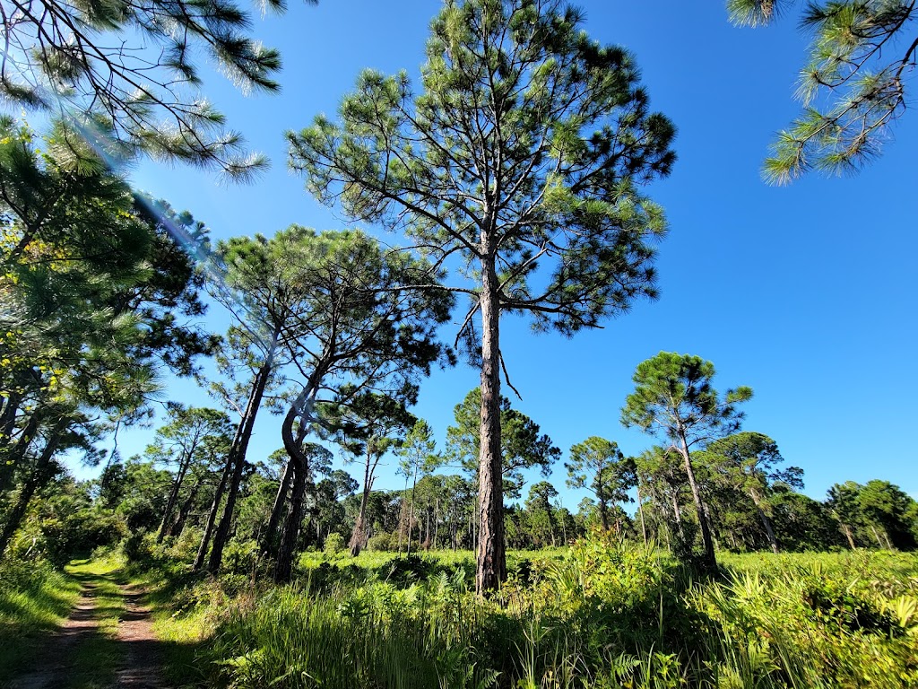 Boyd Hill Nature Preserve | 1101 Country Club Way S, St. Petersburg, FL 33705, USA | Phone: (727) 893-7326