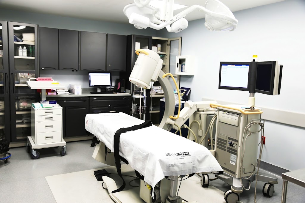 The Spine & Pain Institute of New York | 1 Hollow Ln #102, New Hyde Park, NY 11042, USA | Phone: (516) 587-5500