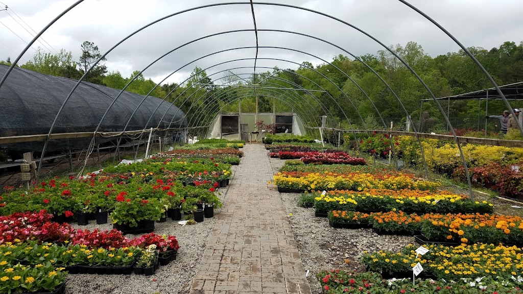 Elrod Garden Center | 260 Merchants Dr, Dallas, GA 30132, USA | Phone: (770) 445-8577