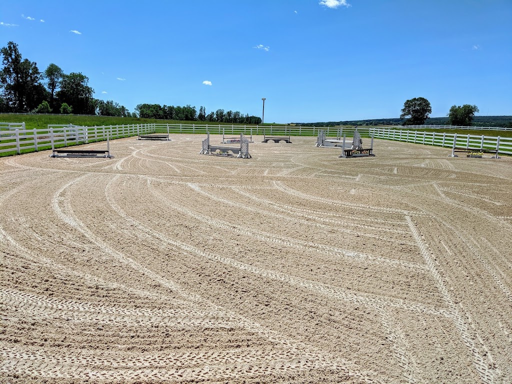Sheer Chance Stable LLC | 1800 Art School Rd, Chester Springs, PA 19425, USA | Phone: (717) 471-7401