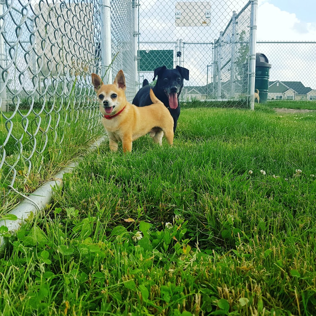 Daisy Knight Dog Park | 3410 Livernois Rd, Troy, MI 48084, USA | Phone: (248) 524-3484