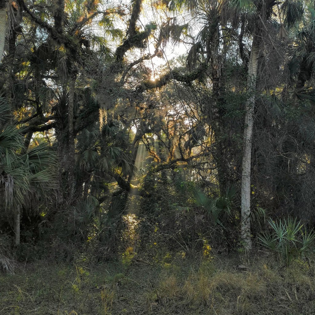 Deer Prairie Creek Horseback Riding | 7001 Forbes Trail, Venice, FL 34292, USA | Phone: (941) 220-5080