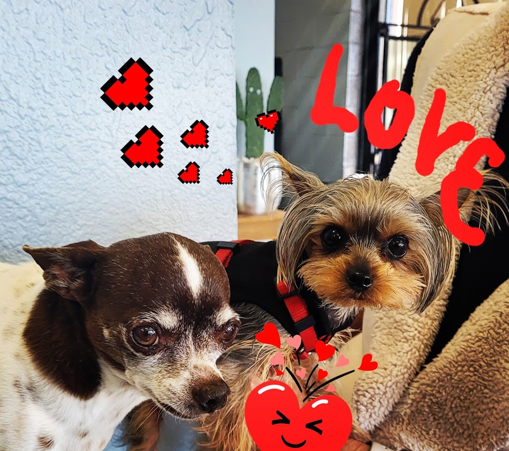 Fabiolas Le Salon | 3861 Mission Ave B29, Oceanside, CA 92058, USA | Phone: (760) 439-4939