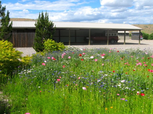 Fetch This Kennels | 10465 Stone Quarry Rd, Payette, ID 83661 | Phone: (208) 642-4245