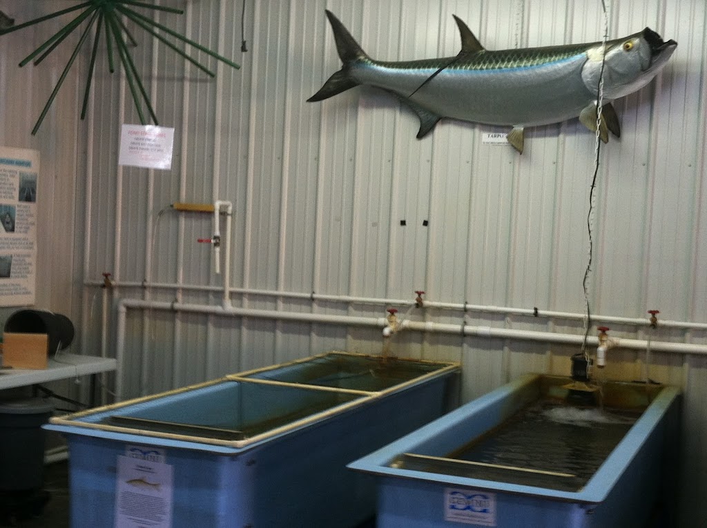 Fish Haven Farm | 978 Owego Rd, Candor, NY 13743, USA | Phone: (607) 659-3474