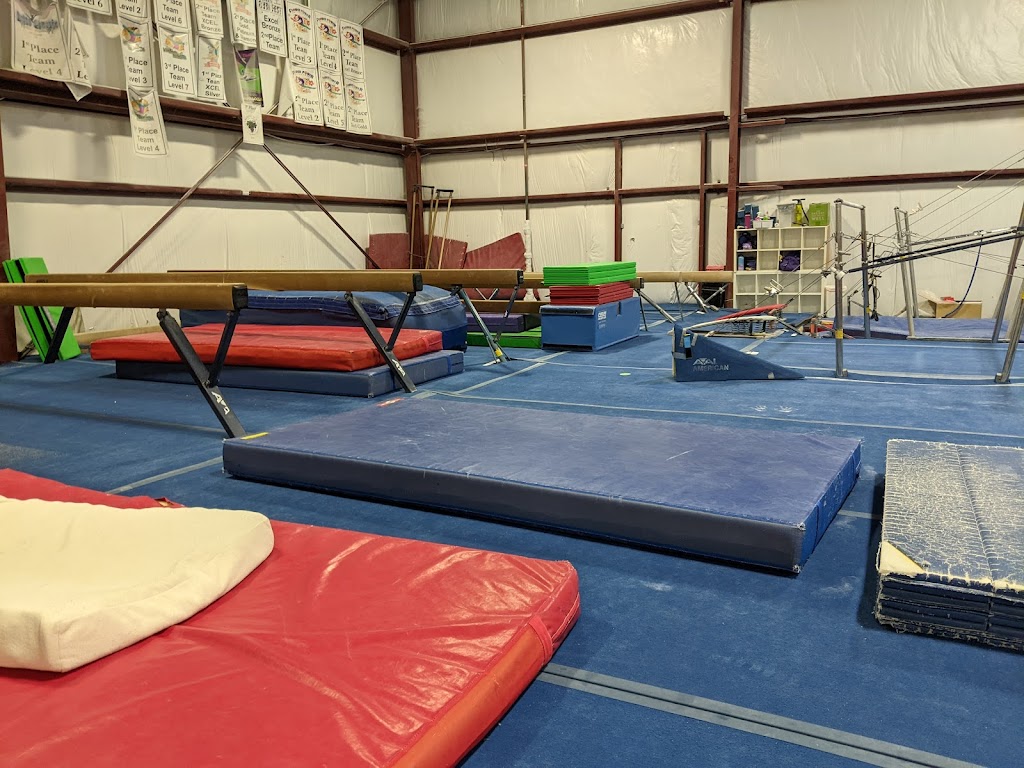 Davis Diamonds Gymnastics | 2800 Cowell Blvd, Davis, CA 95618 | Phone: (530) 750-3547