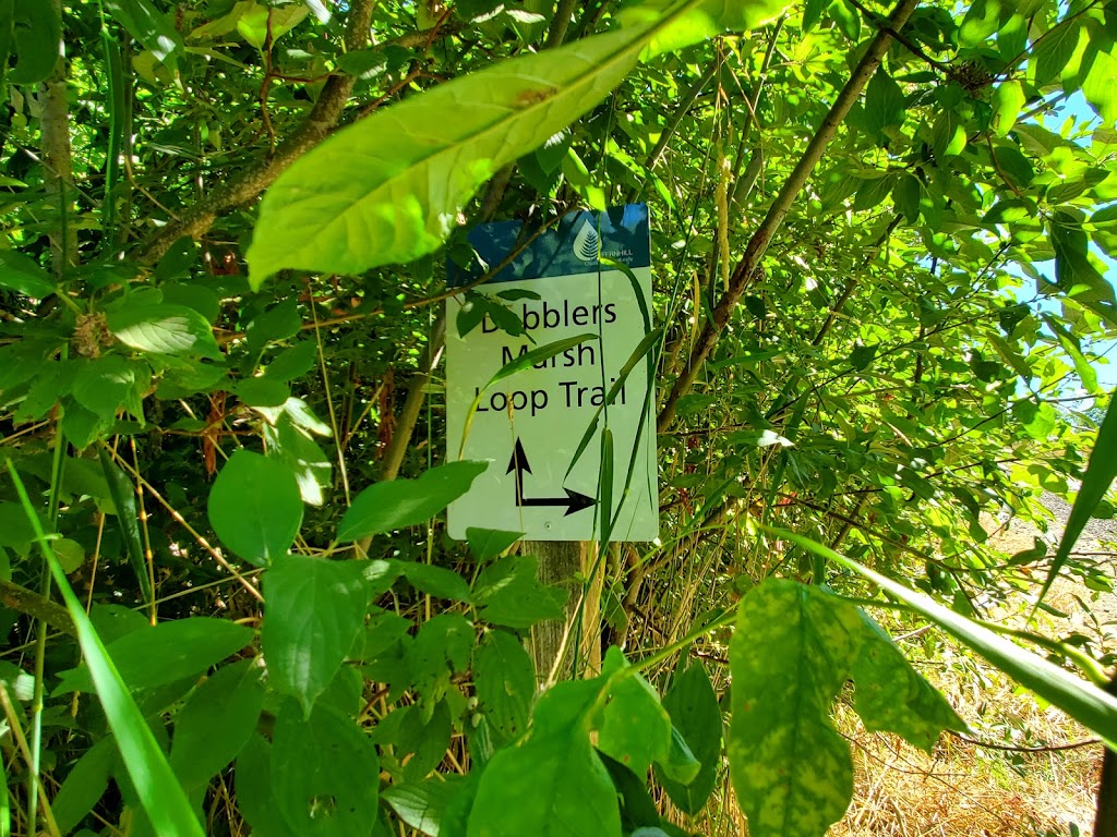 Dabblers Marsh Trail | Fernhill Wetlands Nature Trail, Forest Grove, OR 97116, USA | Phone: (503) 681-3600