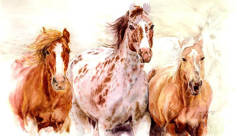 Wildland Images | 38561 Potato Canyon Rd, Yucaipa, CA 92399, USA | Phone: (909) 790-5632