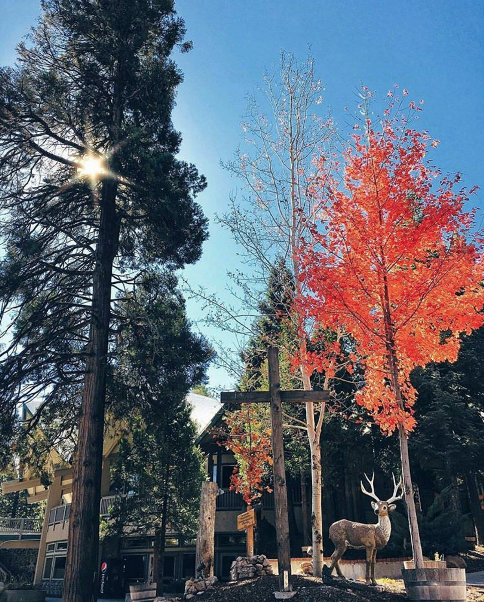 Twin Peaks Christian Conference Center | 26409 CA-189, Twin Peaks, CA 92391, USA | Phone: (909) 336-3000