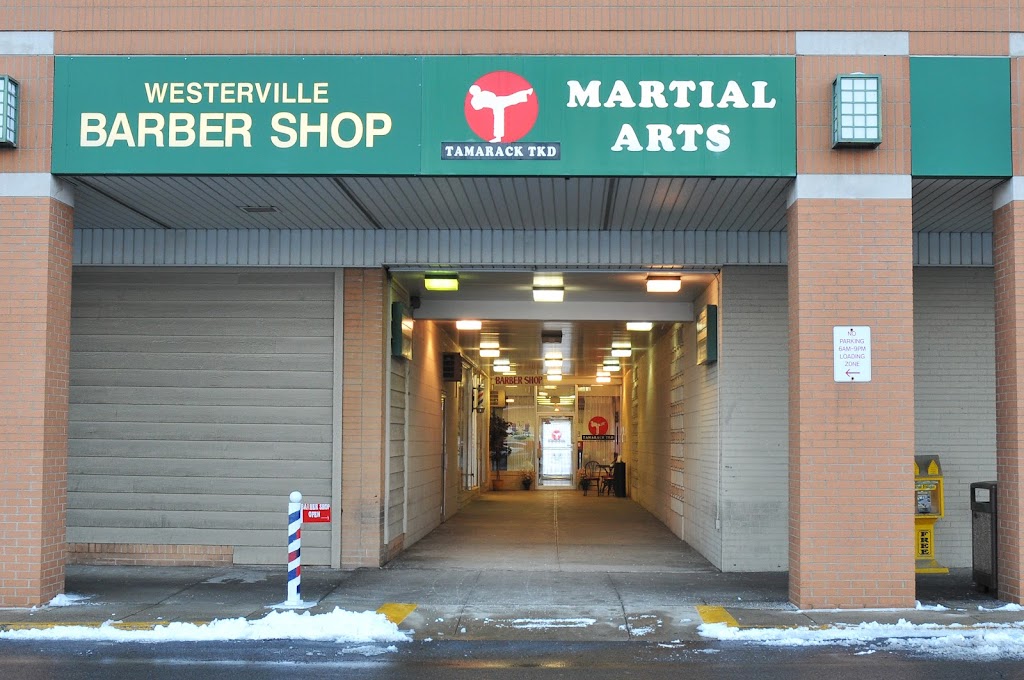 Tamarack TKD Martial Arts Studio | 599 S State St, Westerville, OH 43081, USA | Phone: (614) 476-8311
