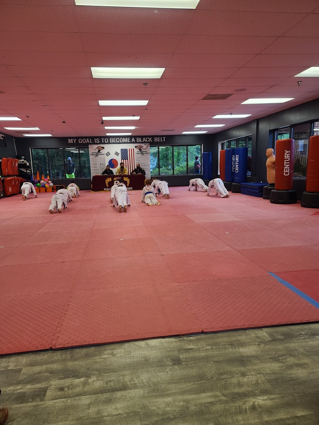 Dynamic Taekwondo & After School of Chesterfield | 7501 Offshore Dr, Chesterfield, VA 23832, USA | Phone: (804) 608-0146