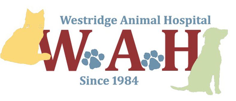 Westridge Animal Hospital | 9911 Camp Bowie W Blvd, Fort Worth, TX 76116, USA | Phone: (817) 244-7742