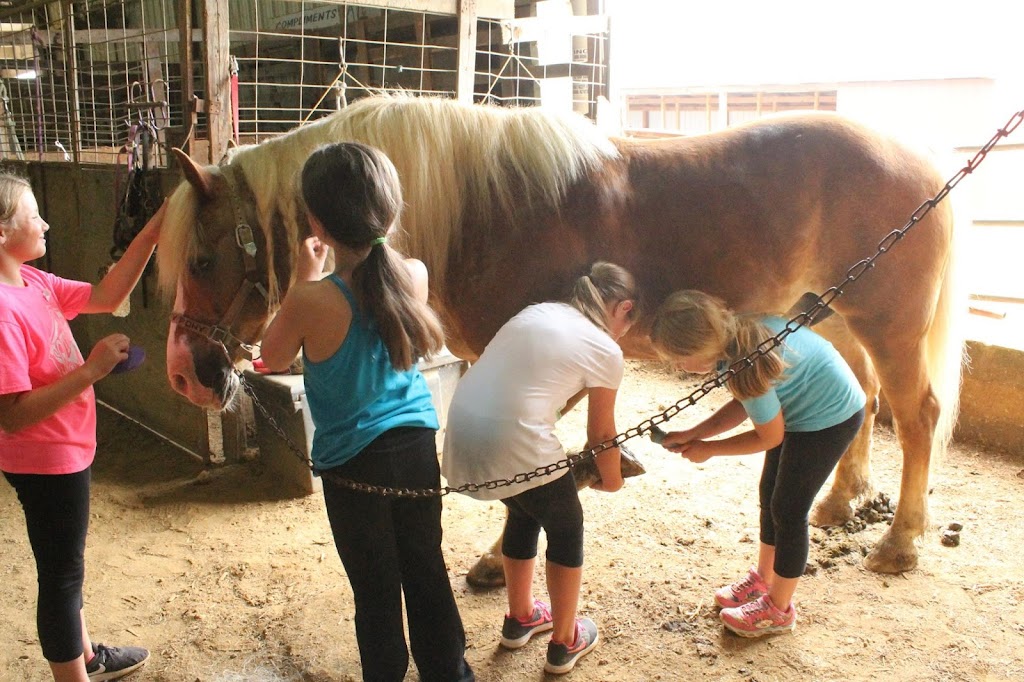 Louisville Equestrian Center | 6720 Mt Washington Rd, Taylorsville, KY 40071, USA | Phone: (502) 477-0830