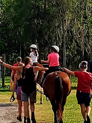 Prospect Riding Center | 34250 FL-70, Myakka City, FL 34251, USA | Phone: (941) 713-1736