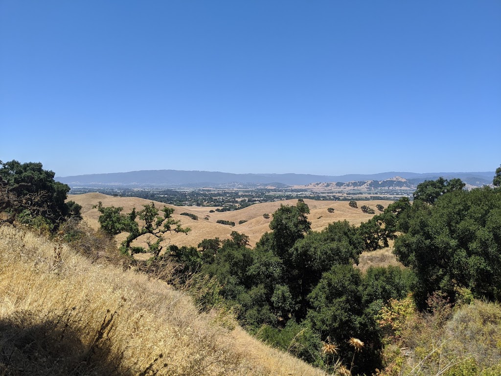 Coyote Lake Dam Parking Lot / Harvey Bear Trail Trailhead | Coyote Reservoir Rd, Gilroy, CA 95020, USA | Phone: (408) 842-7800