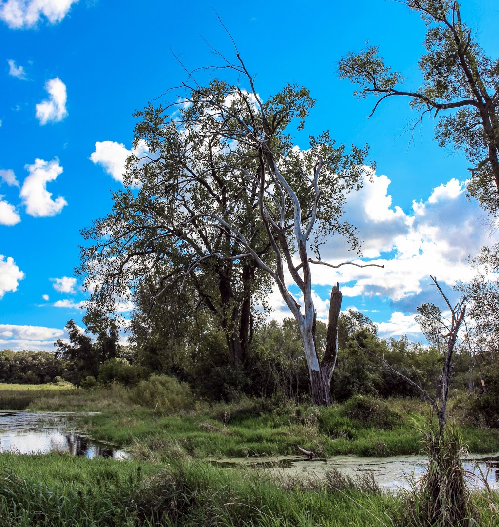 Badfish Creek State Wildlife Area | Old Stone Rd, Madison, WI 53711, USA | Phone: (888) 936-7463