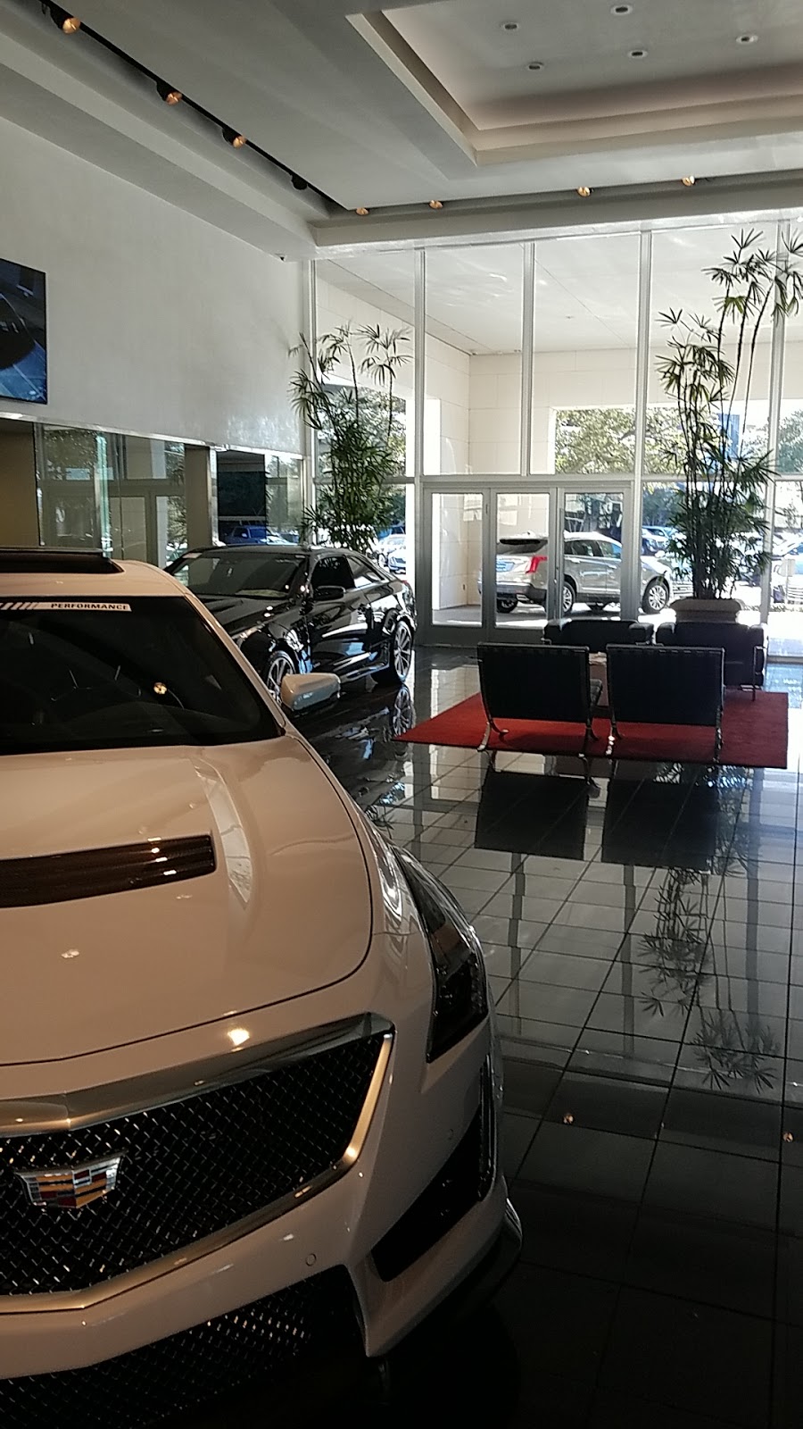 Sewell Cadillac of Dallas | 7310 Lemmon Ave, Dallas, TX 75209, USA | Phone: (214) 350-2000