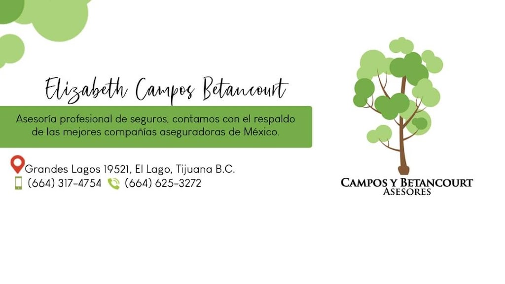 Campos Y Betancourt Asesores | Av. de los Grandes Lagos 19521, El Lago, 22210 Tijuana, B.C., Mexico | Phone: 664 317 4754