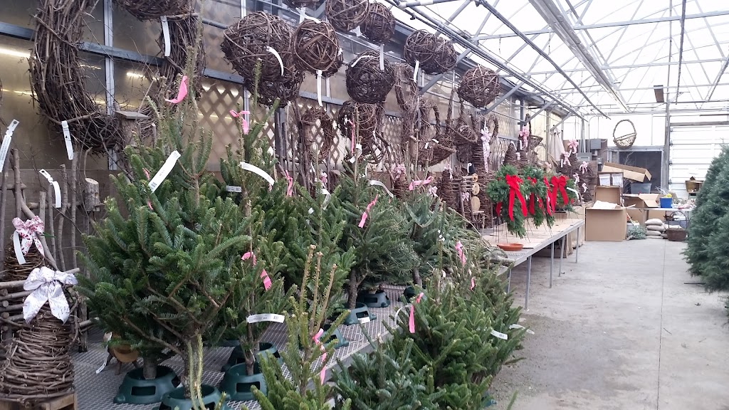 Straders Garden Center | 5350 Riverside Dr, Columbus, OH 43220, USA | Phone: (614) 889-1314