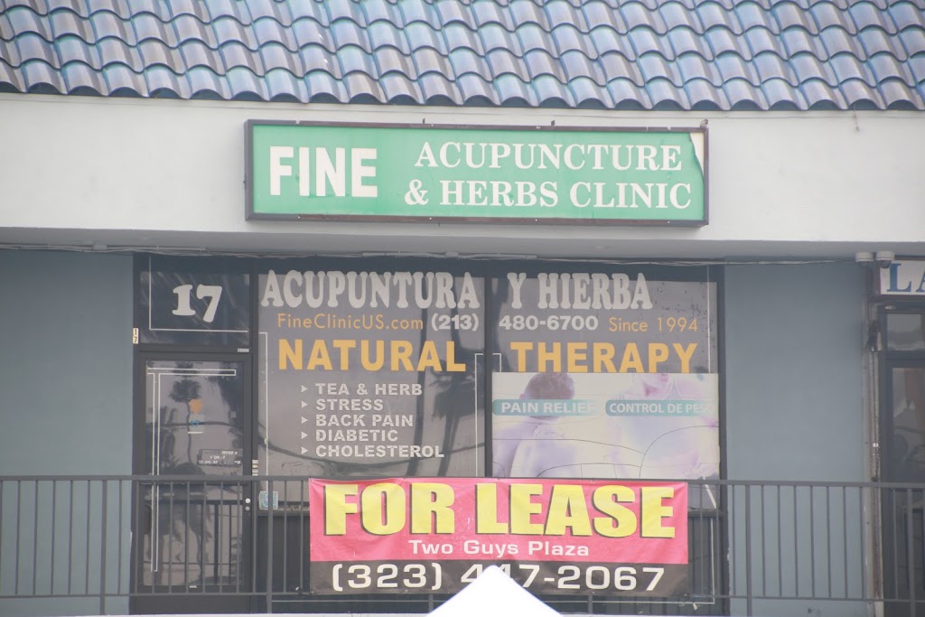 Fine Acupuncture & Herbs Clinic | 1133 Vermont Ave, Los Angeles, CA 90006, USA | Phone: (213) 480-6700