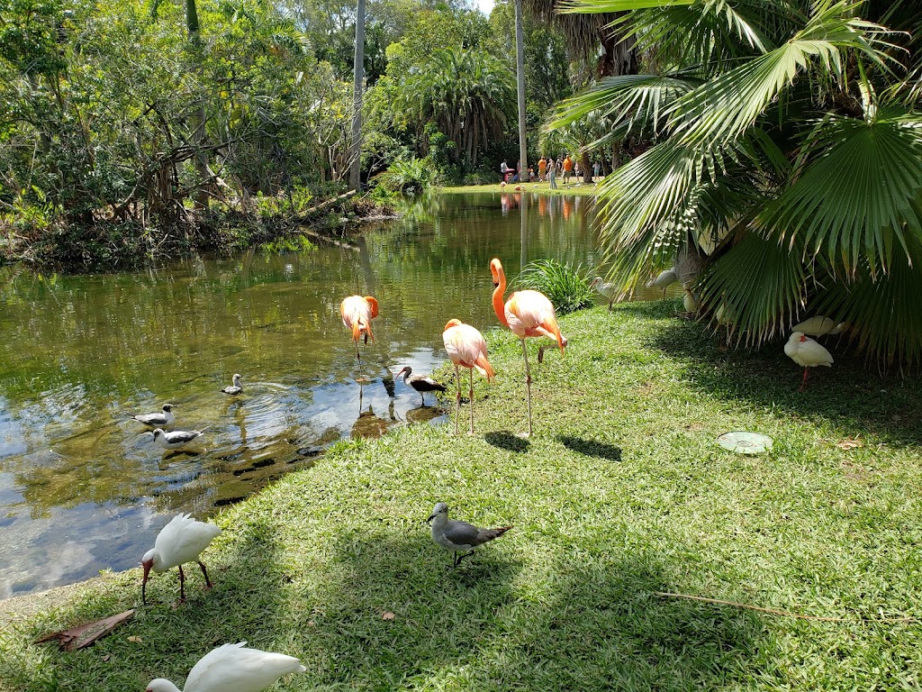 Sarasota Jungle Gardens | 3701 Bay Shore Rd, Sarasota, FL 34234, USA | Phone: (941) 355-5305