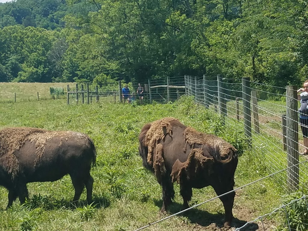 Big Bone Lick State Historic Site | 3380 Beaver Rd, Union, KY 41091, USA | Phone: (859) 384-3522