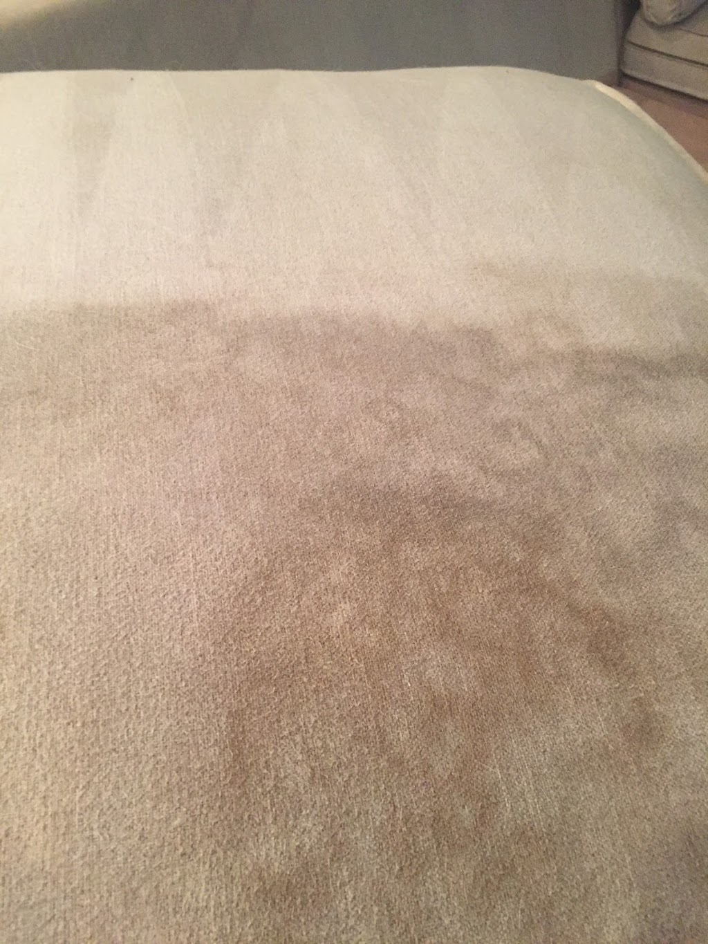 Genesis Carpet Cleaning | 5005 Highlands Dr, McKinney, TX 75070, USA | Phone: (214) 504-0401