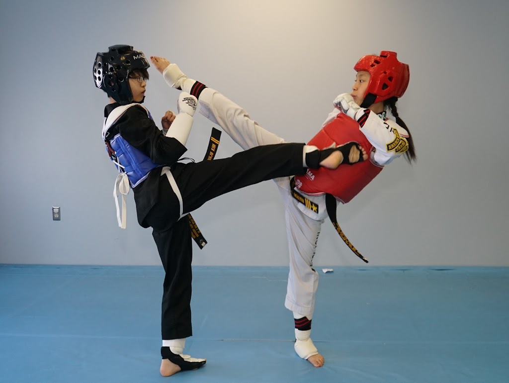 Kils Martial Arts | 3110 Packard St, Ann Arbor, MI 48108, USA | Phone: (810) 227-1991