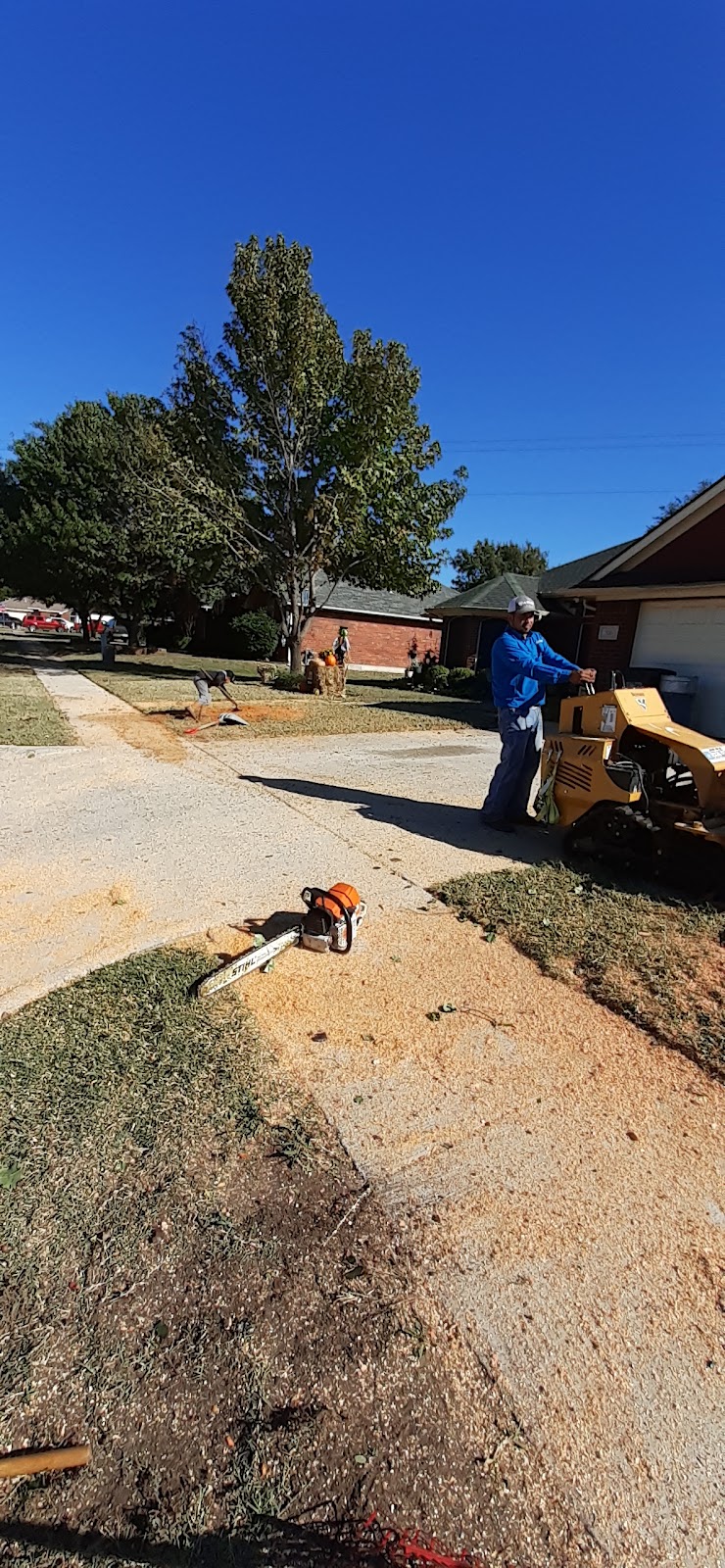 JMS Tree service and LANDSCAPING | 7418 Remington Rd, Mansfield, TX 76063, USA | Phone: (817) 714-9974