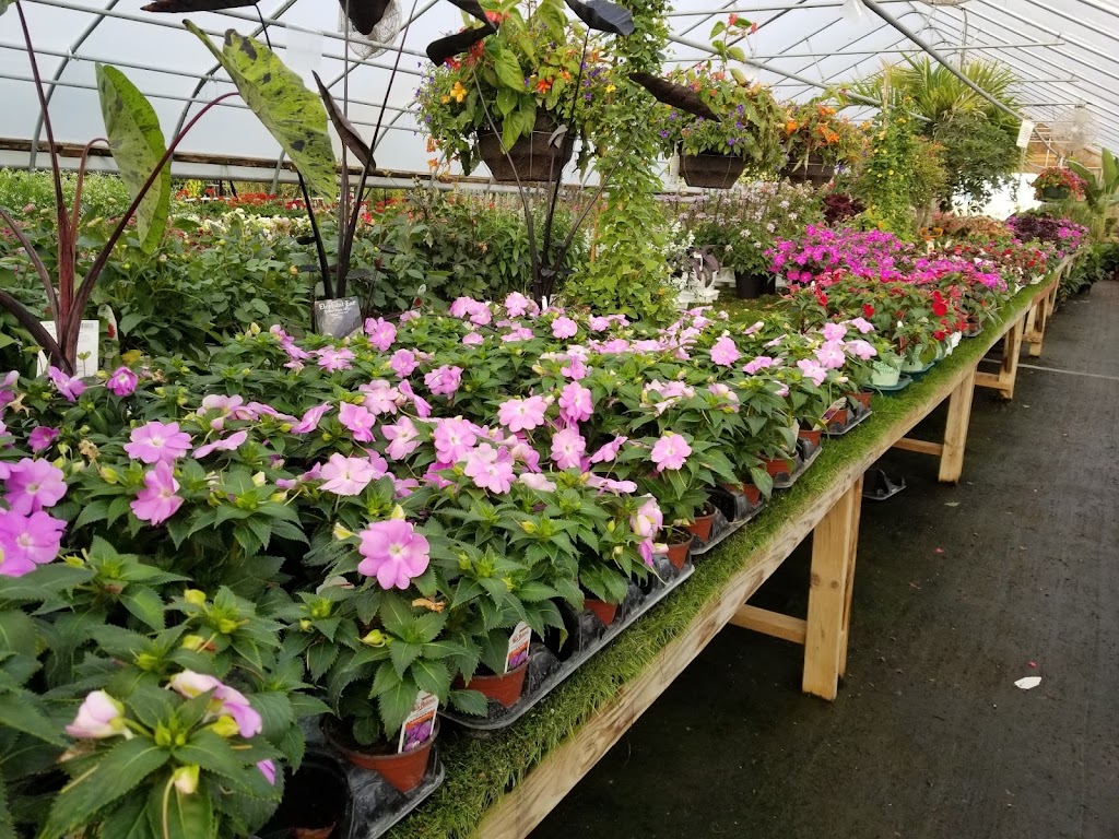 Lawnscape Garden Center | 1805 N 200 W, Angola, IN 46703, USA | Phone: (260) 833-1400