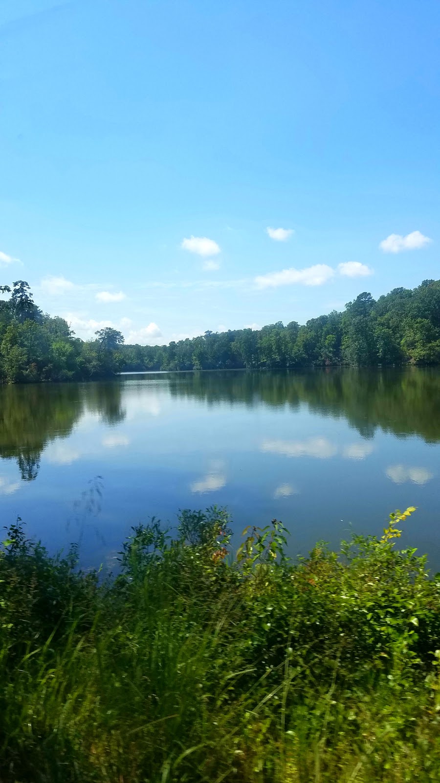 Bethlehem Monastery of Poor Clares | 5500 Holly Fork Rd, Barhamsville, VA 23011, USA | Phone: (757) 566-1684