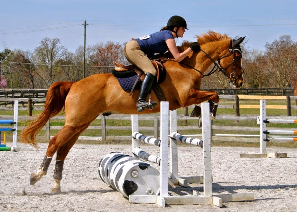 Epona Equine Services | 1288 Crawford Dairy Rd, Pittsboro, NC 27312, USA | Phone: (919) 604-0567