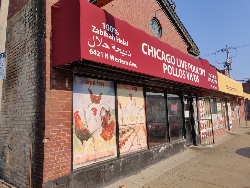 Chicago Live Poultry | 6421 N Western Ave, Chicago, IL 60645, USA | Phone: (773) 381-1000