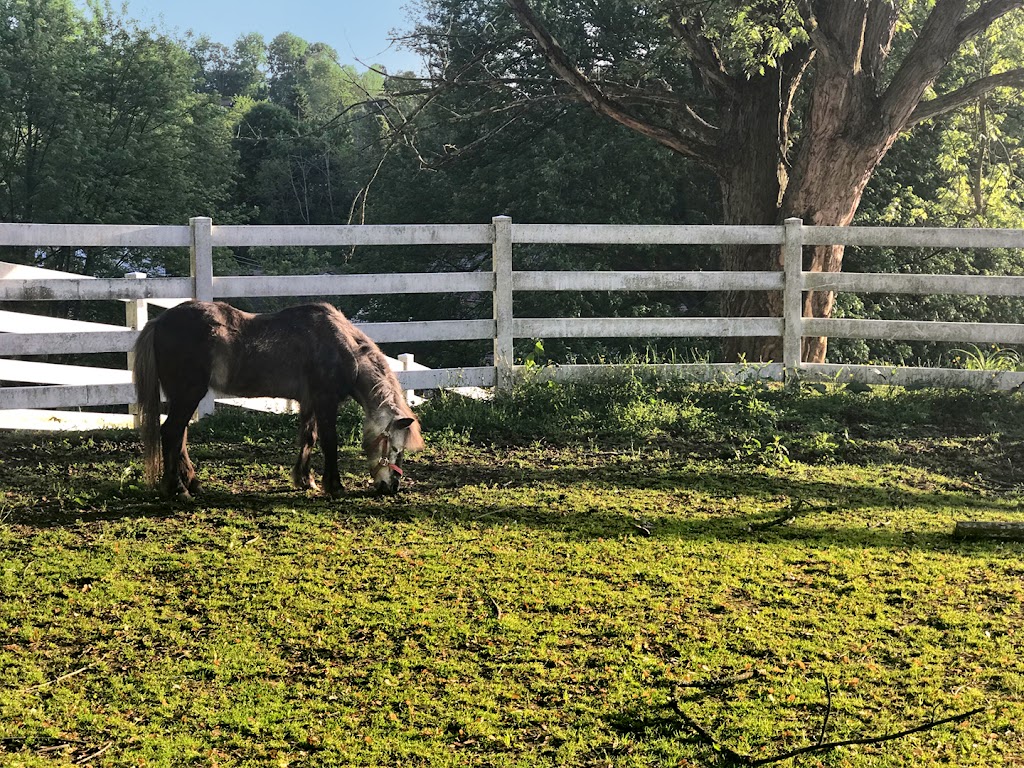 Horses Unlimited Stables | 1875 Stoltz Rd, South Park Township, PA 15129, USA | Phone: (412) 835-7726