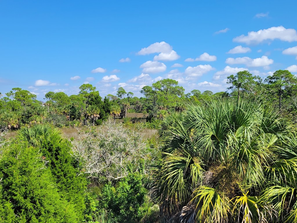 Werner-Boyce Salt Springs State Park | 8737 US-19, Port Richey, FL 34668, USA | Phone: (727) 816-1890