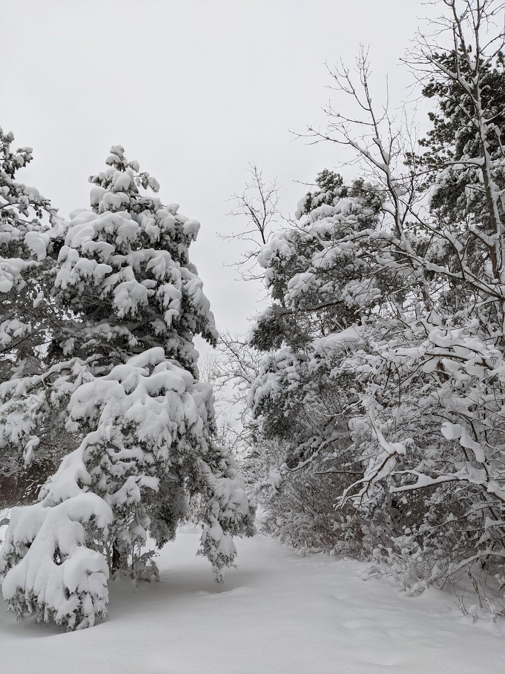 Clarence Nature Center | Thompson Rd, Clarence, NY 14031, USA | Phone: (716) 984-9046