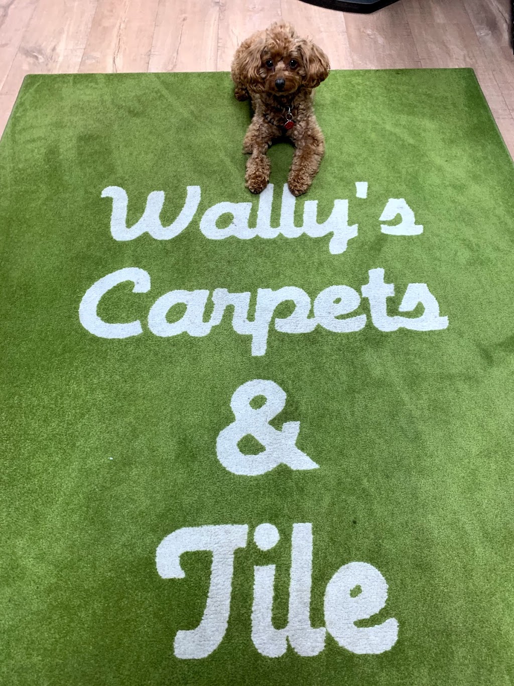 Wallys Carpet & Tile | 909 S Arrowhead Ave, San Bernardino, CA 92408, USA | Phone: (909) 381-0123