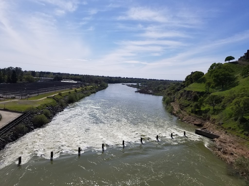 Nimbus Fish Hatchery | 2001 Nimbus Rd, Gold River, CA 95670, USA | Phone: (916) 358-2884