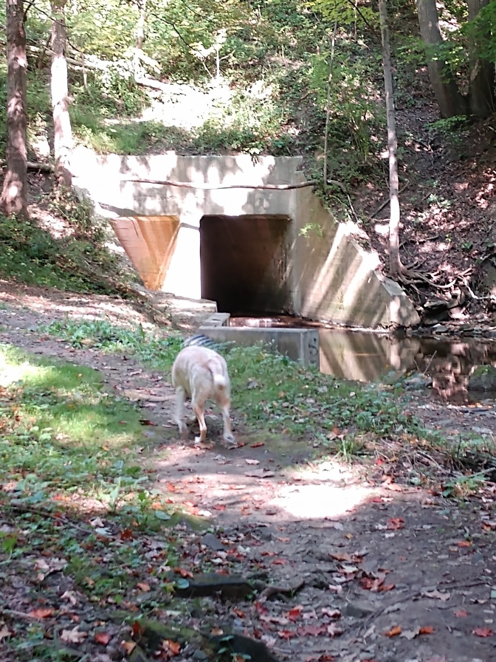 Liberty Park | Park Dr, Girard, OH 44420, USA | Phone: (330) 545-3306